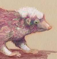 Image 2 of Carl the stink badger