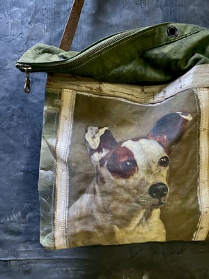 Image of terrier bag