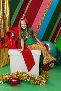 Image 3 of Christmas Minis November 23rd