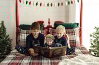 Image 4 of Christmas Minis November 23rd