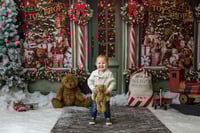 Image 2 of Christmas Minis November 23rd