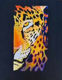 Leopard - Print 