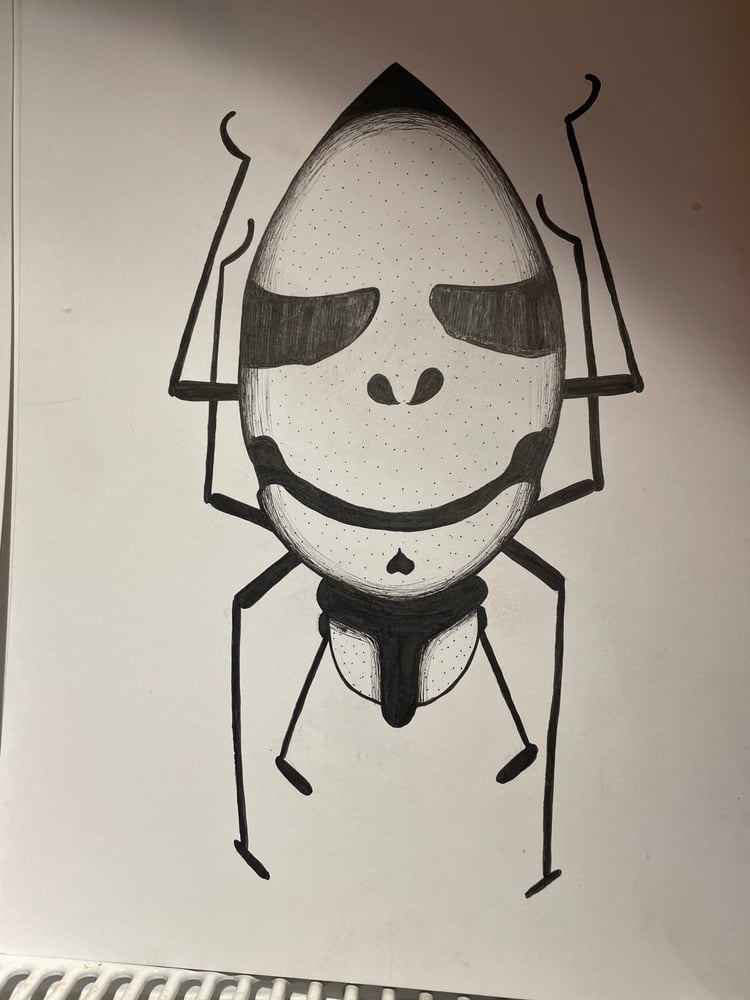 Image of Death Head Bug