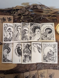 Image 1 of Winter Wildlife Eco Card Pack. 