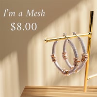 Image 1 of Im a Mesh