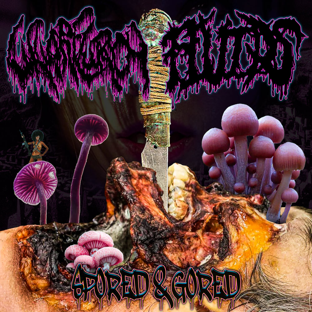 WHARFLURCH / FLUIDS - "Spored & Gored" split cassette 1ST PRESS