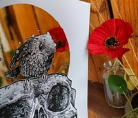 Image 5 of - Bird Skull -