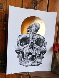 Image 2 of - Bird Skull -