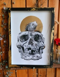 Image 1 of - Bird Skull -