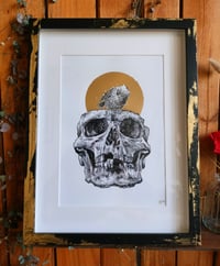 Image 3 of - Bird Skull -