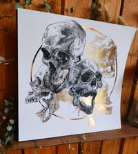 Image 1 of - Circle Skull -