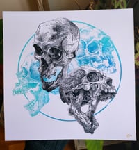 Image 1 of -Circle Color Skull -