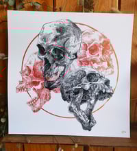 Image 2 of -Circle Color Skull -