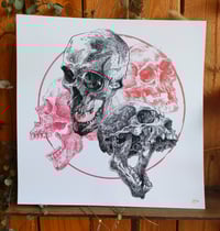 Image 4 of -Circle Color Skull -
