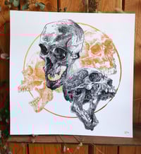 Image 3 of -Circle Color Skull -