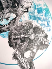 Image 5 of -Circle Color Skull -