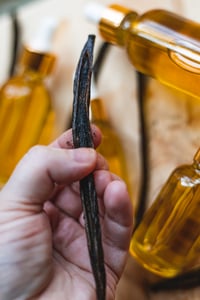 Image 7 of Warm Vanilla Body Oil