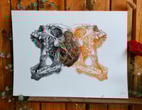 Image 2 of - Mirror Color Jaw -