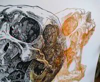 Image 4 of - Mirror Color Jaw -