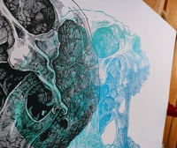 Image 5 of - Mirror Color Jaw -