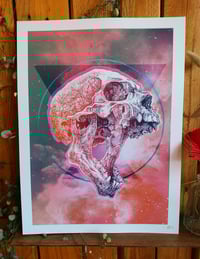 Image 1 of - Space Jaw -