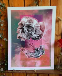 Image 1 of - Space kick Jaw -