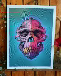 Image 1 of - Vortex gorilla -