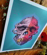 Image 2 of - Vortex gorilla -