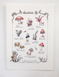 Image 1 of "Absonderliche Pilze" - handcoloured screenprint