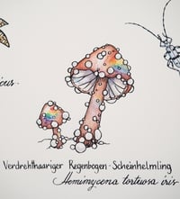 Image 2 of "Absonderliche Pilze" - handcoloured screenprint