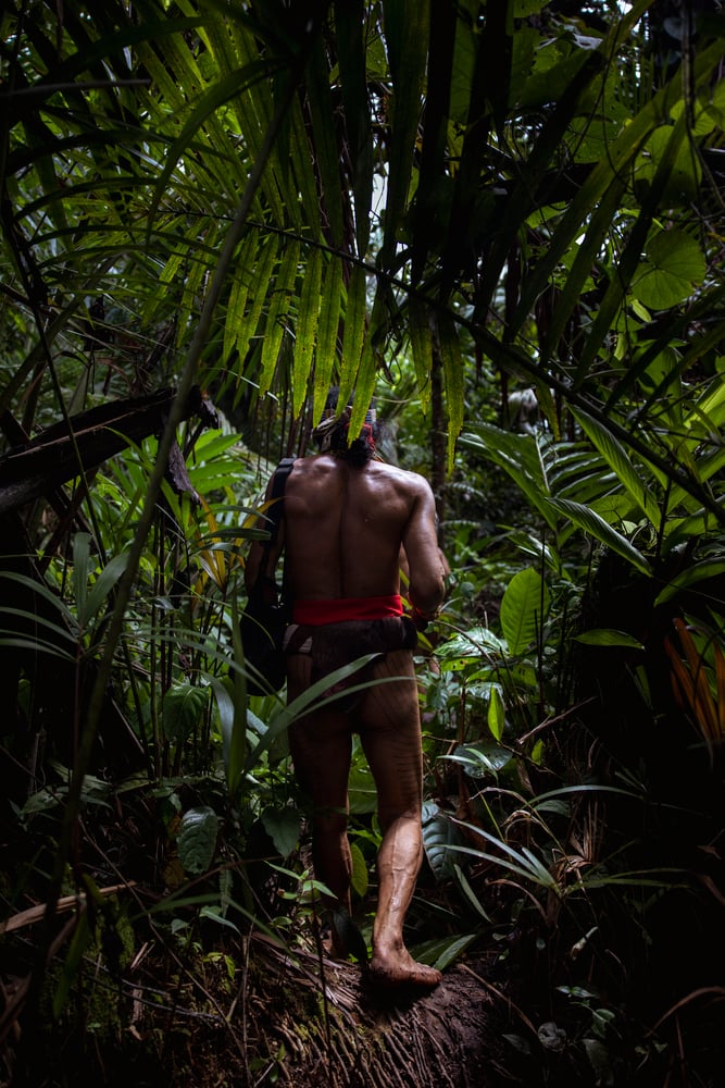 Image of Shaman's Journey