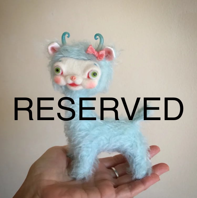 Image of RESERVED for Bri