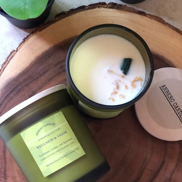 Image of WELLNESS + VIGOR