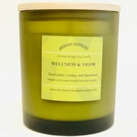 Image 4 of WELLNESS + VIGOR