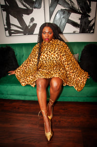 Image 3 of The Flared Feline Dress