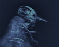 The Soul Of Velmyr The Wise