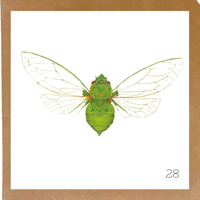 Image 7 of Insect Cards
