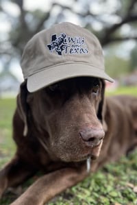 Image 1 of Unstructured Khaki Cap