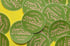 Matcha Sticker Image 2