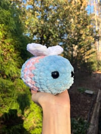 Image 1 of trans bee