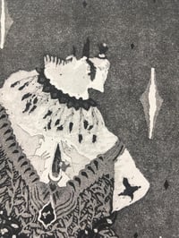 Image 2 of Gala espacial Jacarandá