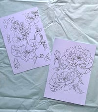 Image 4 of Coffret d'illustrations à peindre ou colorier