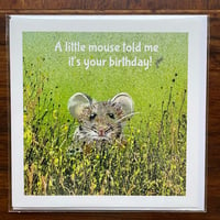 Image 1 of ‘A little mouse told me’ greetings card