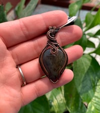 Image 2 of Spectrolite Pendant