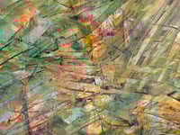 Image 3 of Let's Chase Sunsets