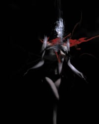 Vantage Points to The Ever Glow