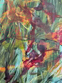 Image 5 of Babaco