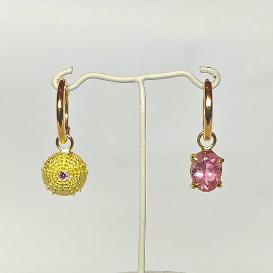 Beeld van Pinkish sea urchin