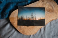 Image 1 of film print // sunset drive