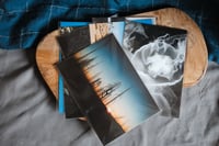Image 2 of film print // sunset drive